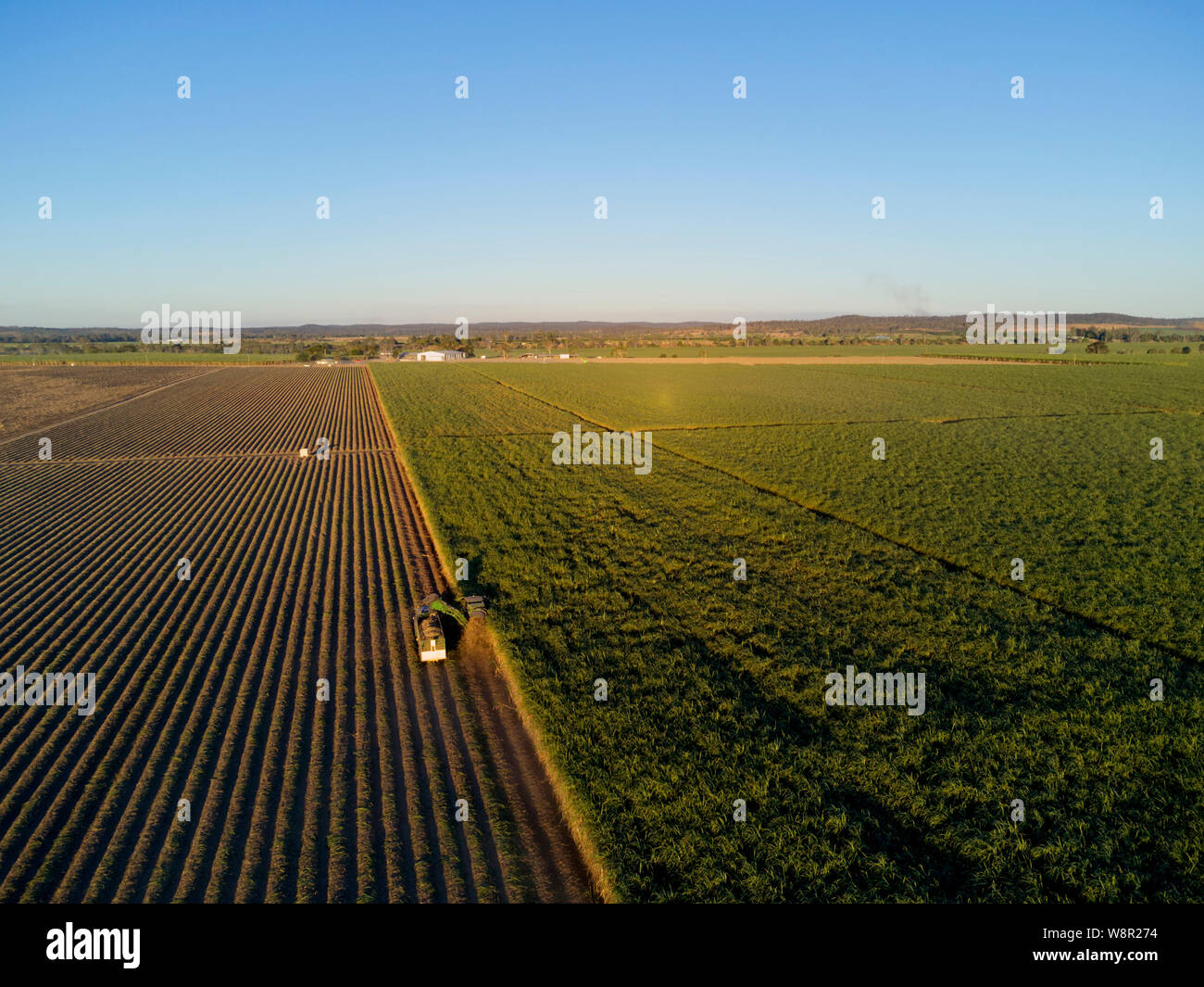 Aerial of mechanical Sugar Cane Harvesting machinery at work harvesting a crop at Wallaville