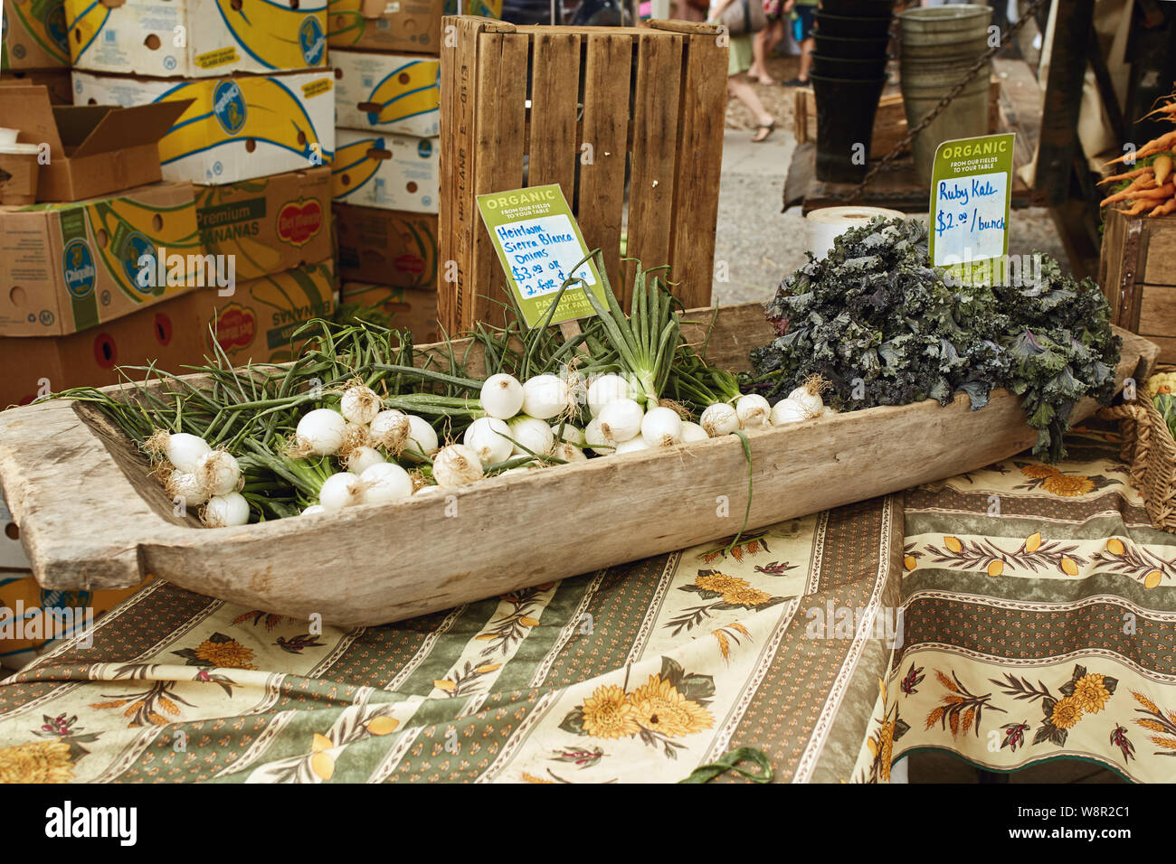 Colorful display of onions and kale for sale at a Farmers Market Stock ...