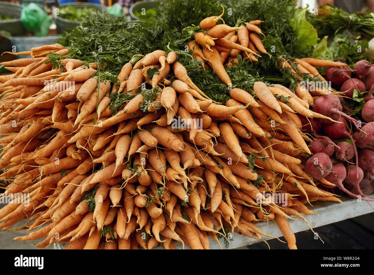 Colorful display of carrots and beets for sell at a Farmers Market in Boulder, Colorado. Beta vulgaris, Daucus carota subsp. sativus Stock Photo