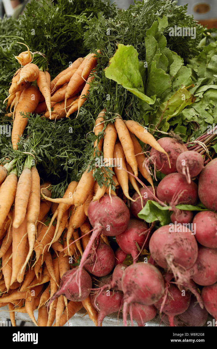 Colorful display of carrots and beets for sell at a Farmers Market in Boulder, Colorado. (Daucus carota subsp. sativus) Stock Photo