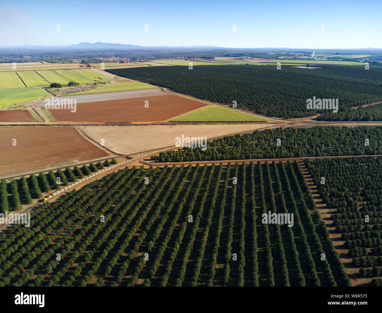 Aerial of macadamia nut tree plantations which are taking over as preferred crop from the traditional sugar cane plantations near Childers Queensland Stock Photo