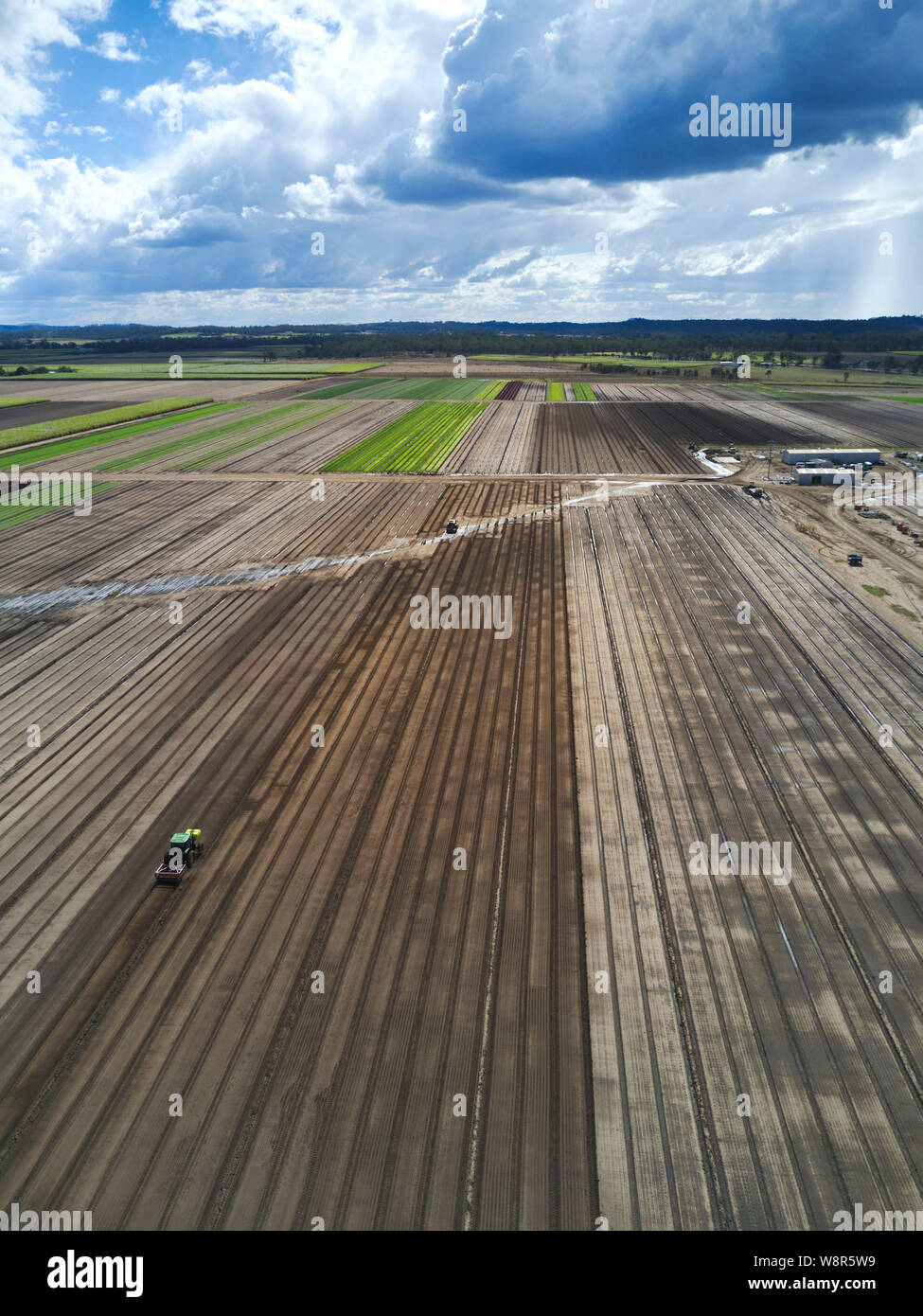 Tractor preparing seedbeds for planting of lettuce crop on a commercial salad farm near Bundaberg Queensland Australia Stock Photo