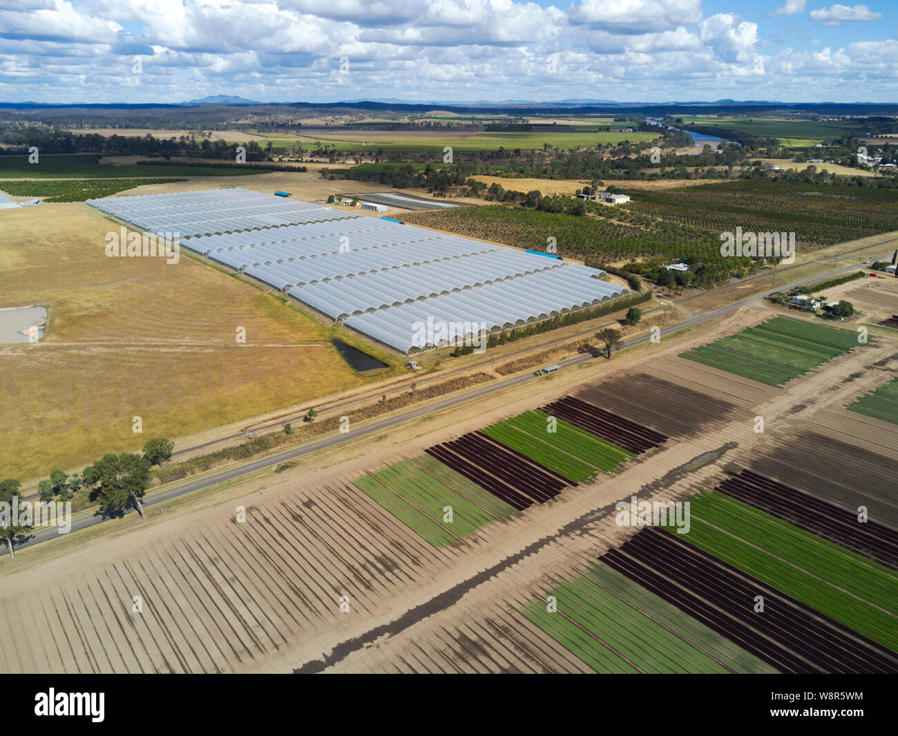 Aerial of plastic tunnels housing hydroponic grown blueberry plants at Wallaville Queensland Australia Stock Photo