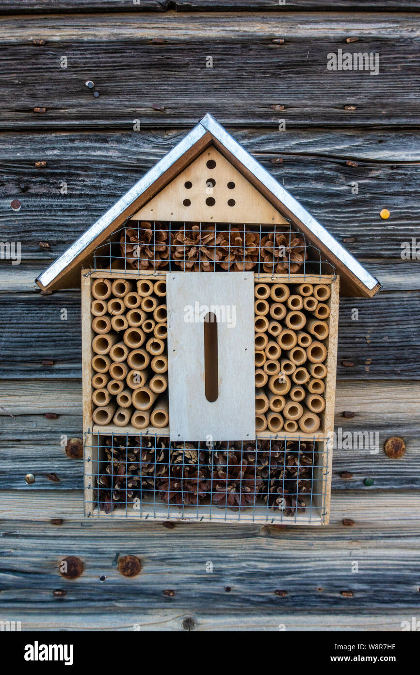 Tiny wood bee house Stock Photo Alamy