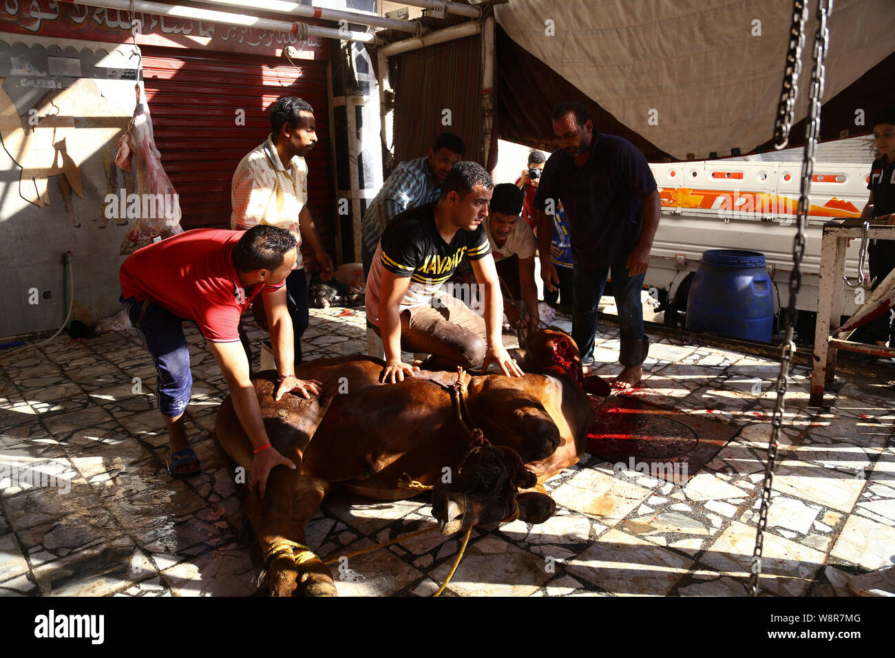 Cairo, Egypt. 11th Aug, 2019. Egyptian Muslims slaughter goats and sheeps during the Eid al-Adha festival. Credit: Lobna Tarek/dpa/Alamy Live News Stock Photo