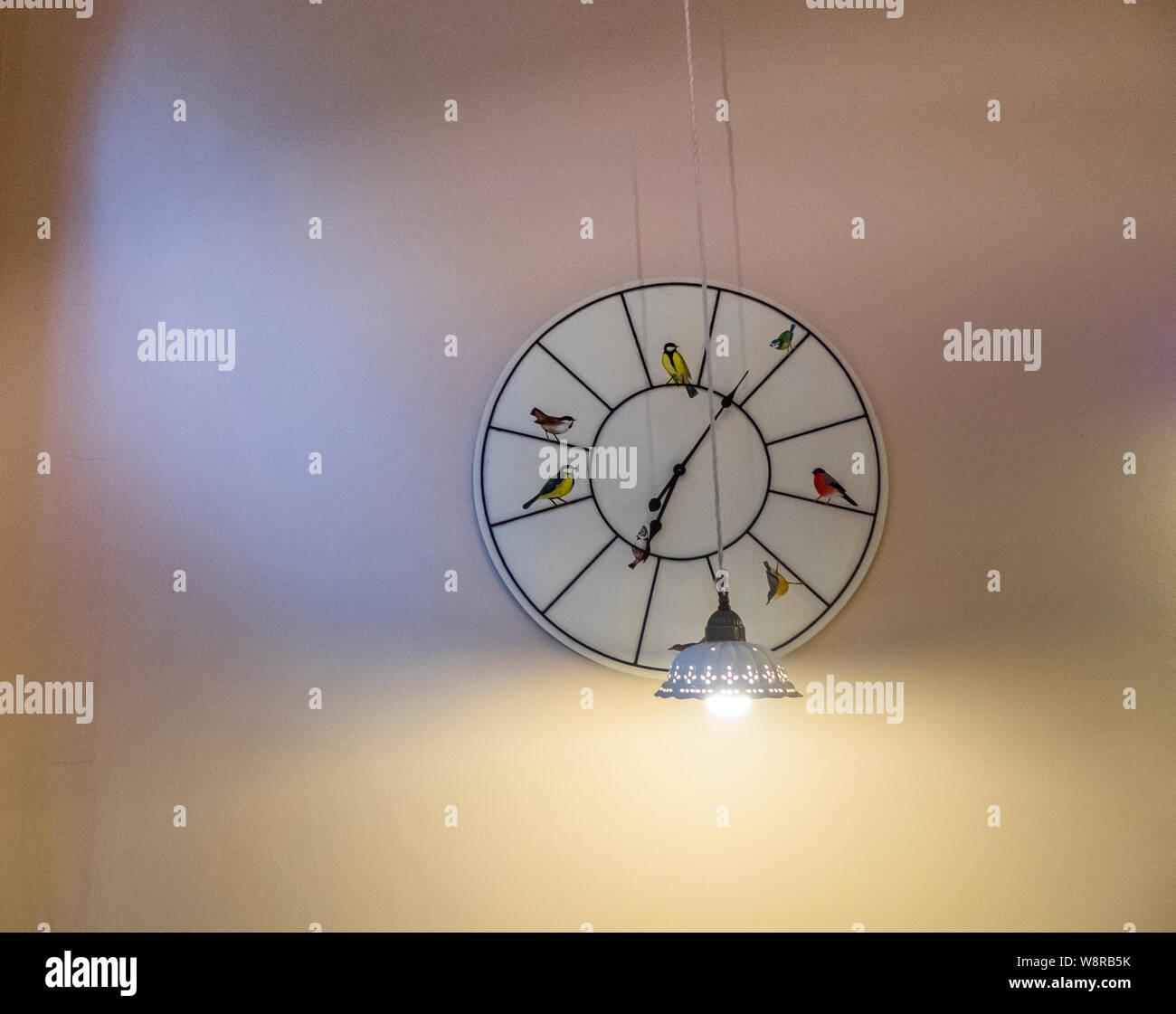 funny clock on the wall with birds on the clock face Stock Photo