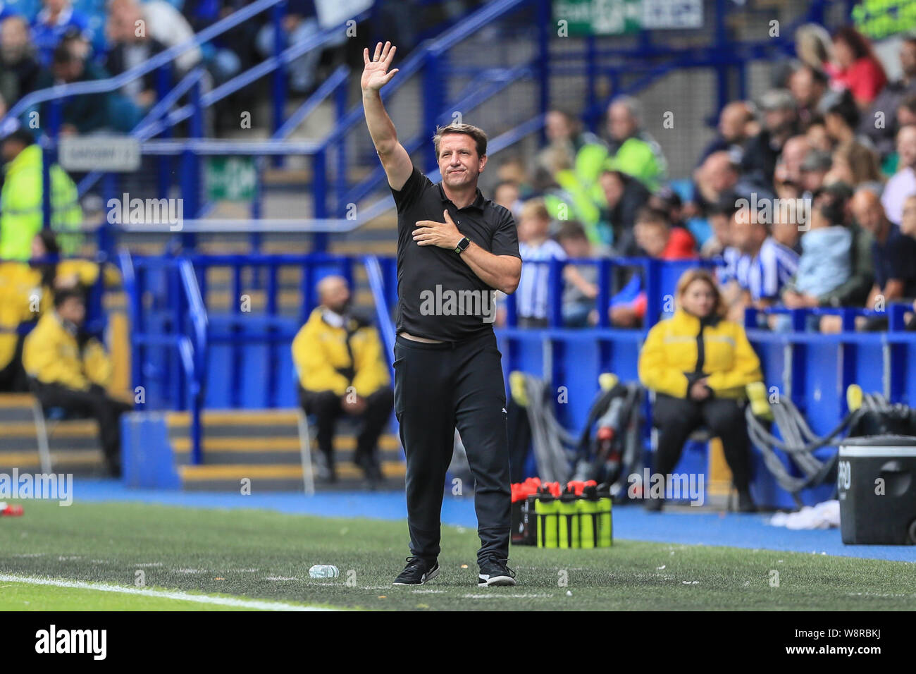 10th August 2019 , Hillsborough, Sheffield, England; Sky Bet Championship, Sheffield Wednesday vs Barnsley : Daniel Stendel manager of Barnsley FC during the game Credit: Mark Cosgrove/News Images,  English Football League images are subject to DataCo Licence Stock Photo