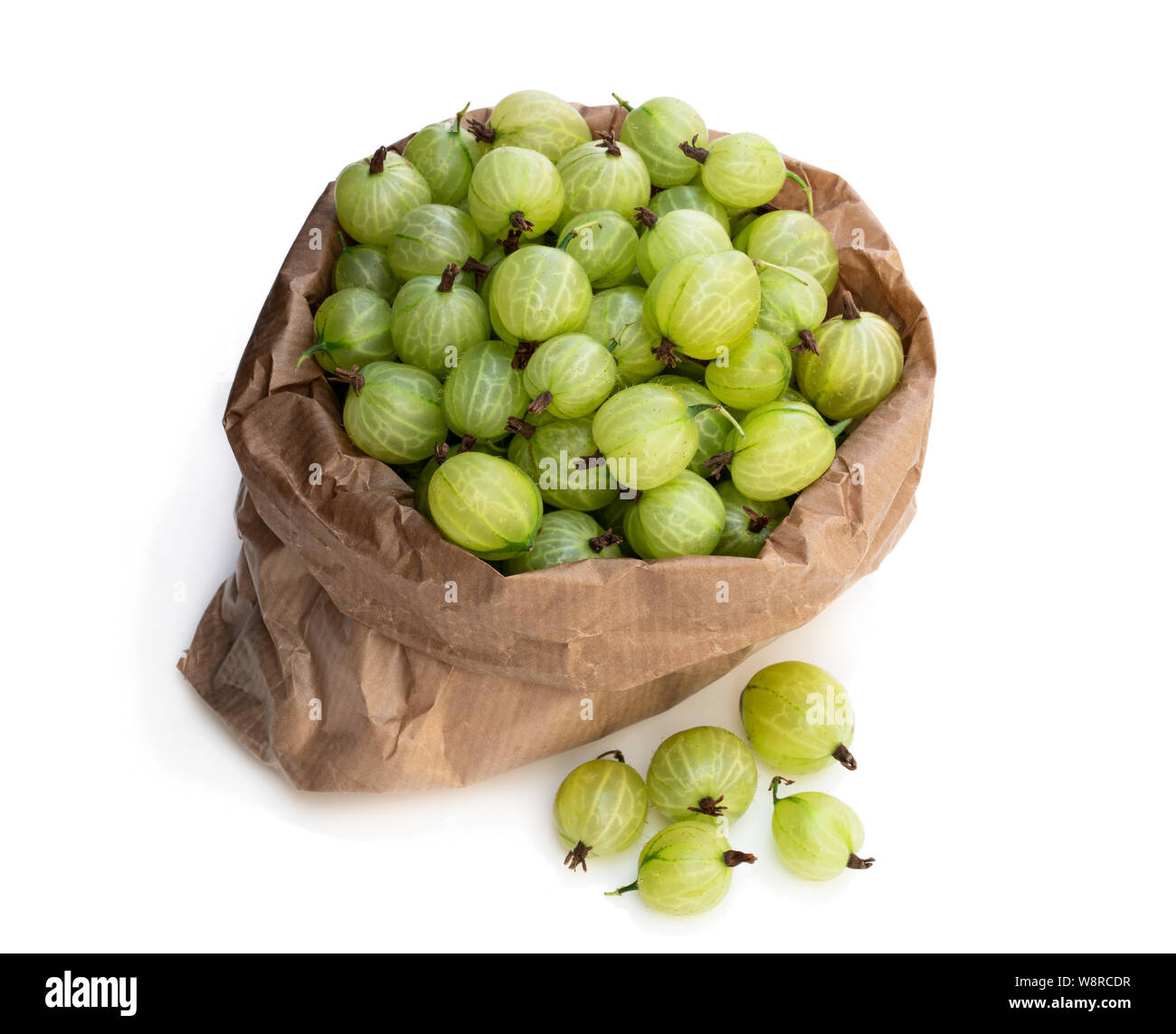 Gooseberry Wrapper Paper bag full of gooseberries isolated on white Stock Photo - Alamy