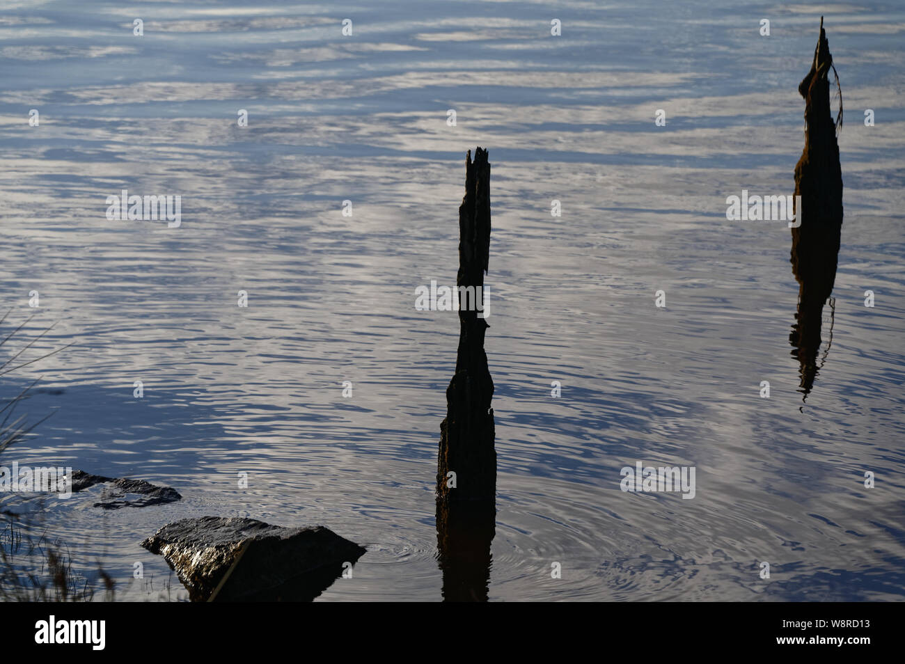 Evening light on the estuary, an old pillar is sticking out of the water Stock Photo