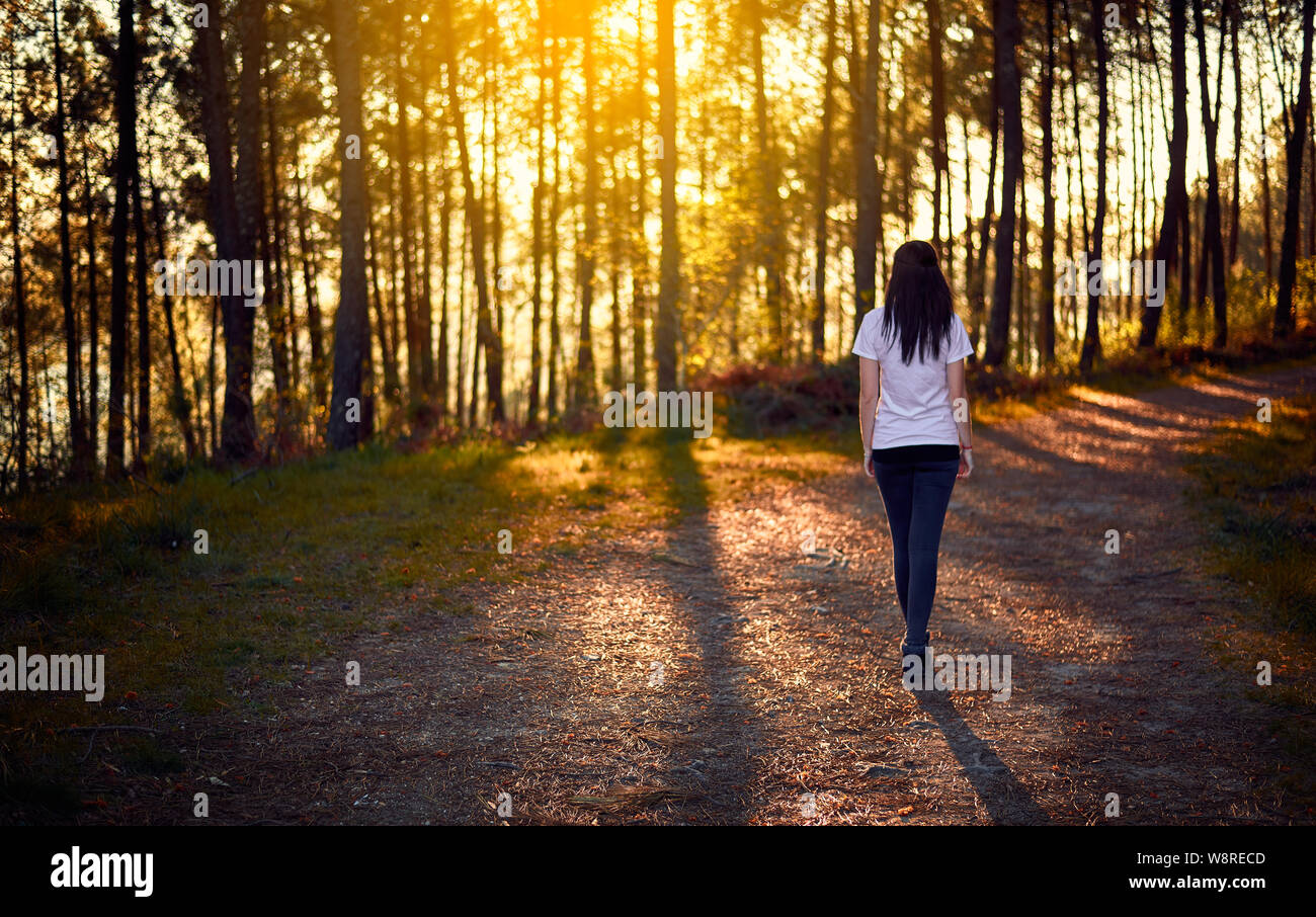 Person walking in dark forest hi-res stock photography and images - Alamy