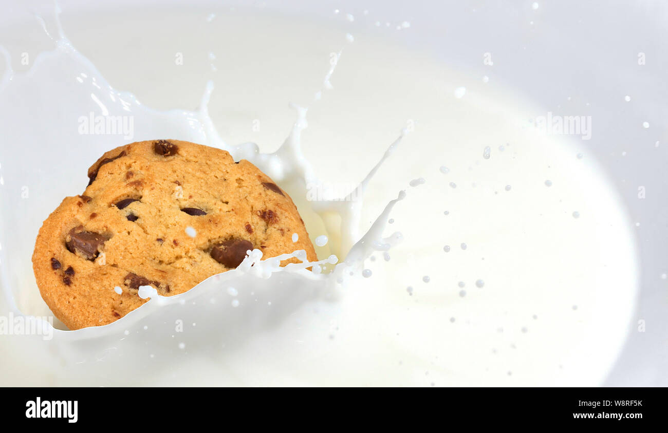 Milk splash. Delicious cookie dunk in a bowl with milk. Stock Photo