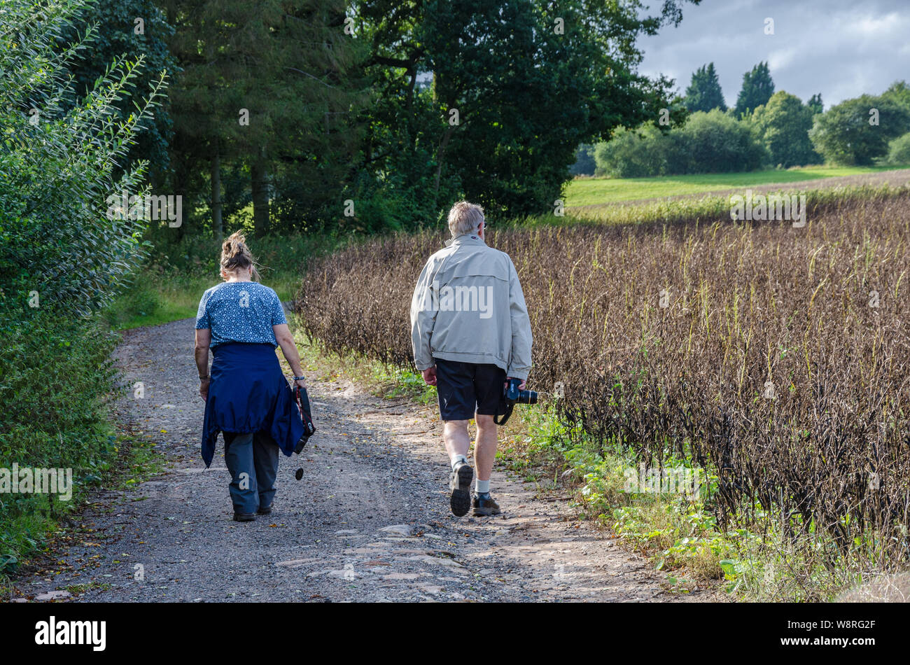 A couple of people wonder along a dirt track past fields in the South Staffordshire countrysde. Stock Photo