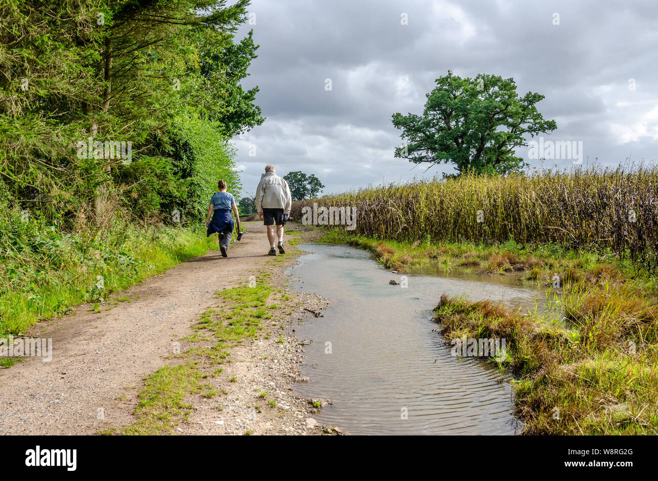 A couple of people wonder along a dirt track past fields in the South Staffordshire countrysde. Stock Photo