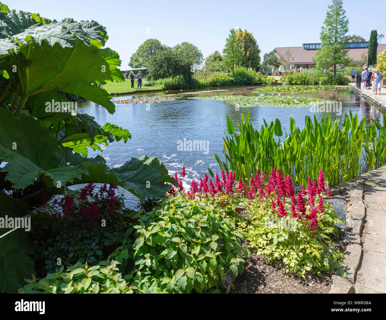 Royal Horticultural Society gardens at Hyde Hall, Essex, England, UK