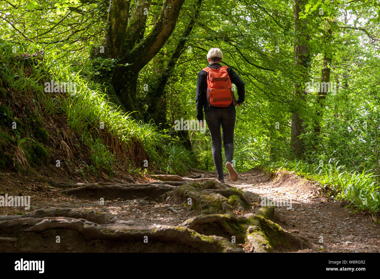 Young woman walking in the forest Stock Photo - Alamy