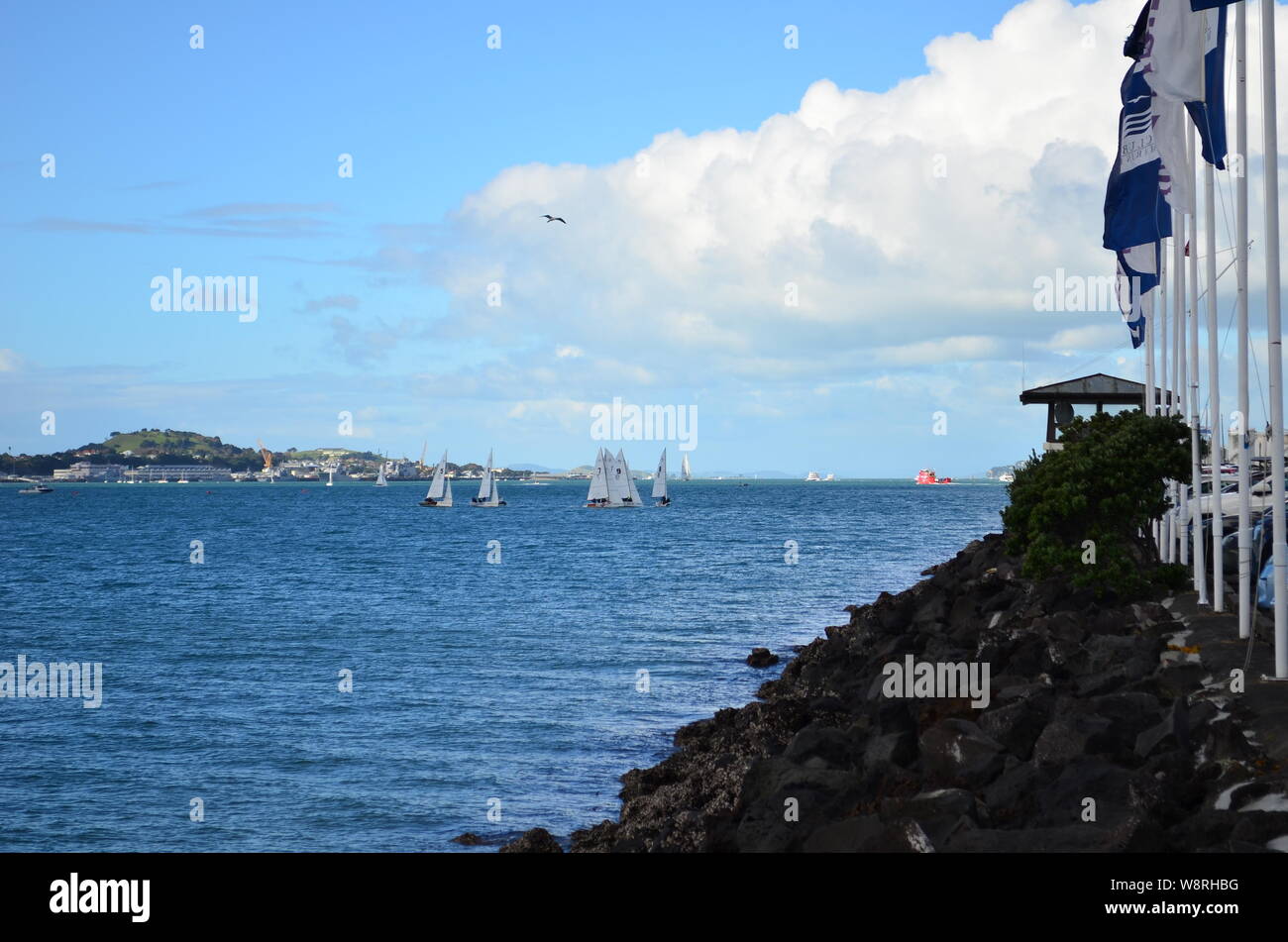 Sailing in the Auckland Harbour, New Zealand Stock Photo