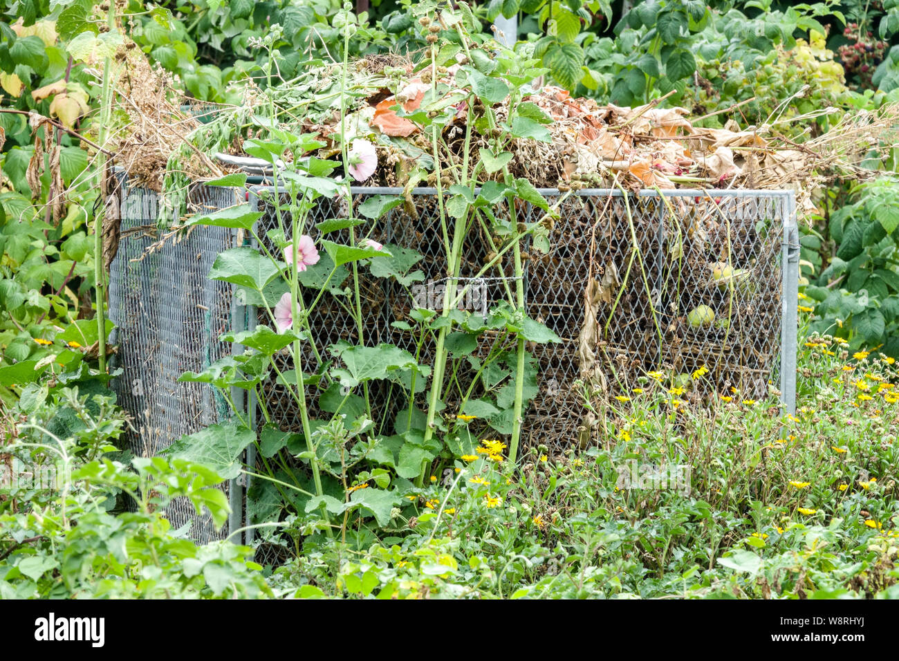 Wire mesh composter hires stock photography and images Alamy