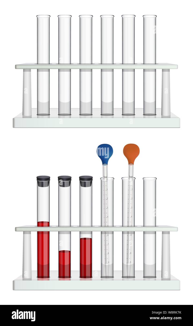 A set of empty tubes in rack and a set of measuring laboratory pipettes and test tubes with blood samples, closed with a stopper. Special laboratory Stock Vector
