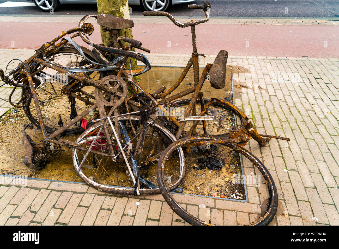 Old rusty abandoned bikes at a tree near a street in Amsterdam, Netherlands Stock Photo