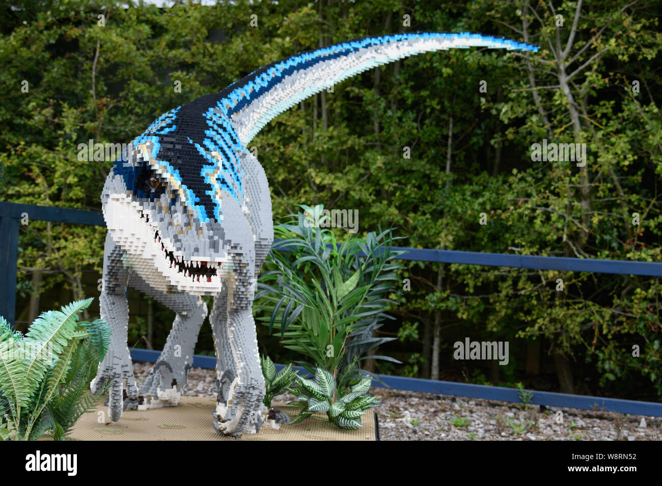 Lego dinosaur display Stock Photo - Alamy
