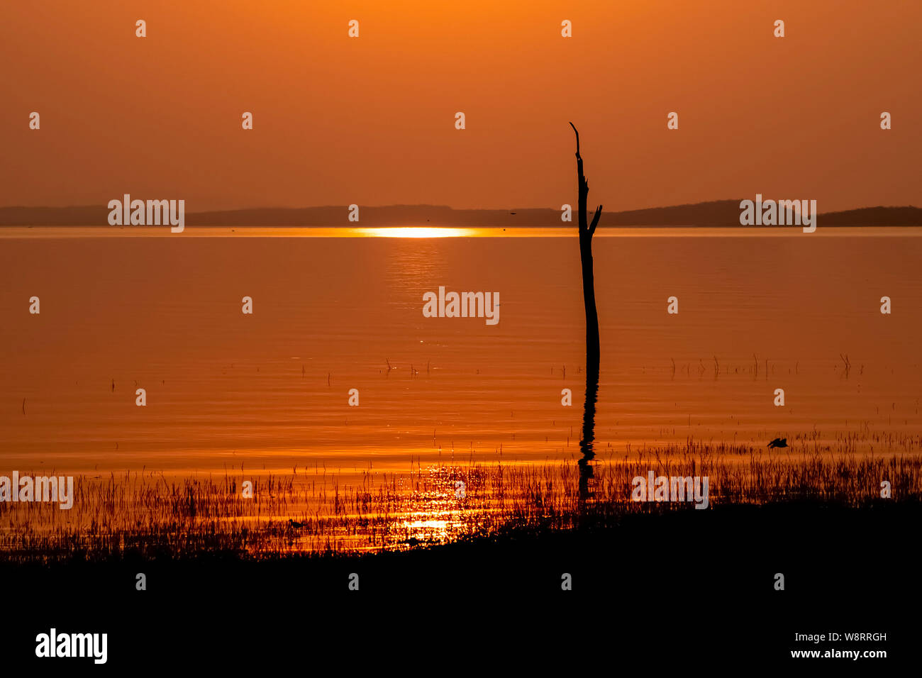 Golden African Sun set over Lake Kariba, Zimbabwe Stock Photo