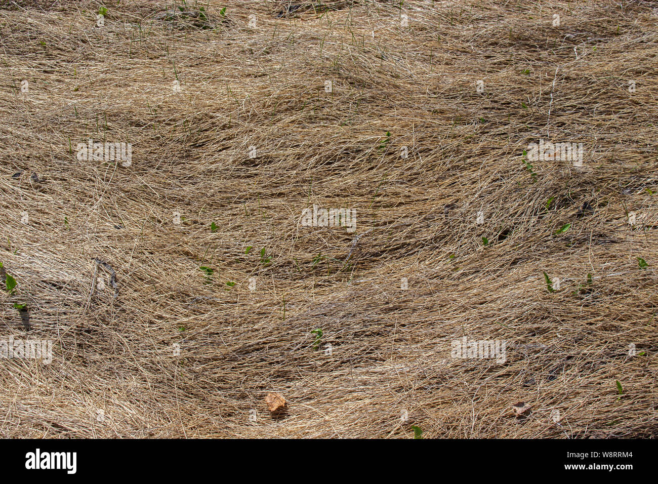Spreads on the ground hires stock photography and images Alamy