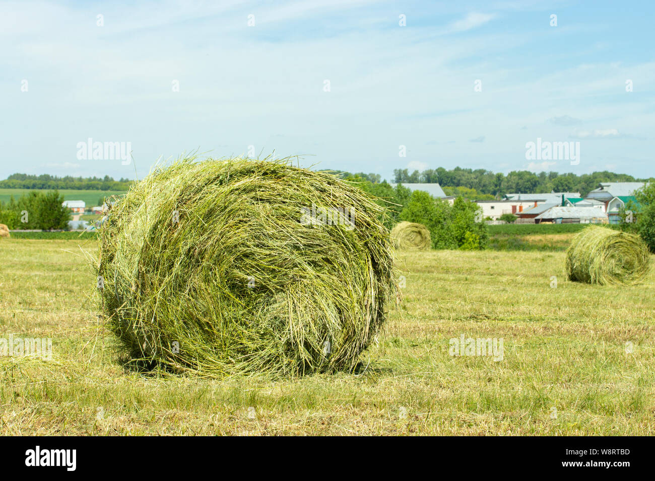 A haystack of straw twisted into a roll on a field. The village is