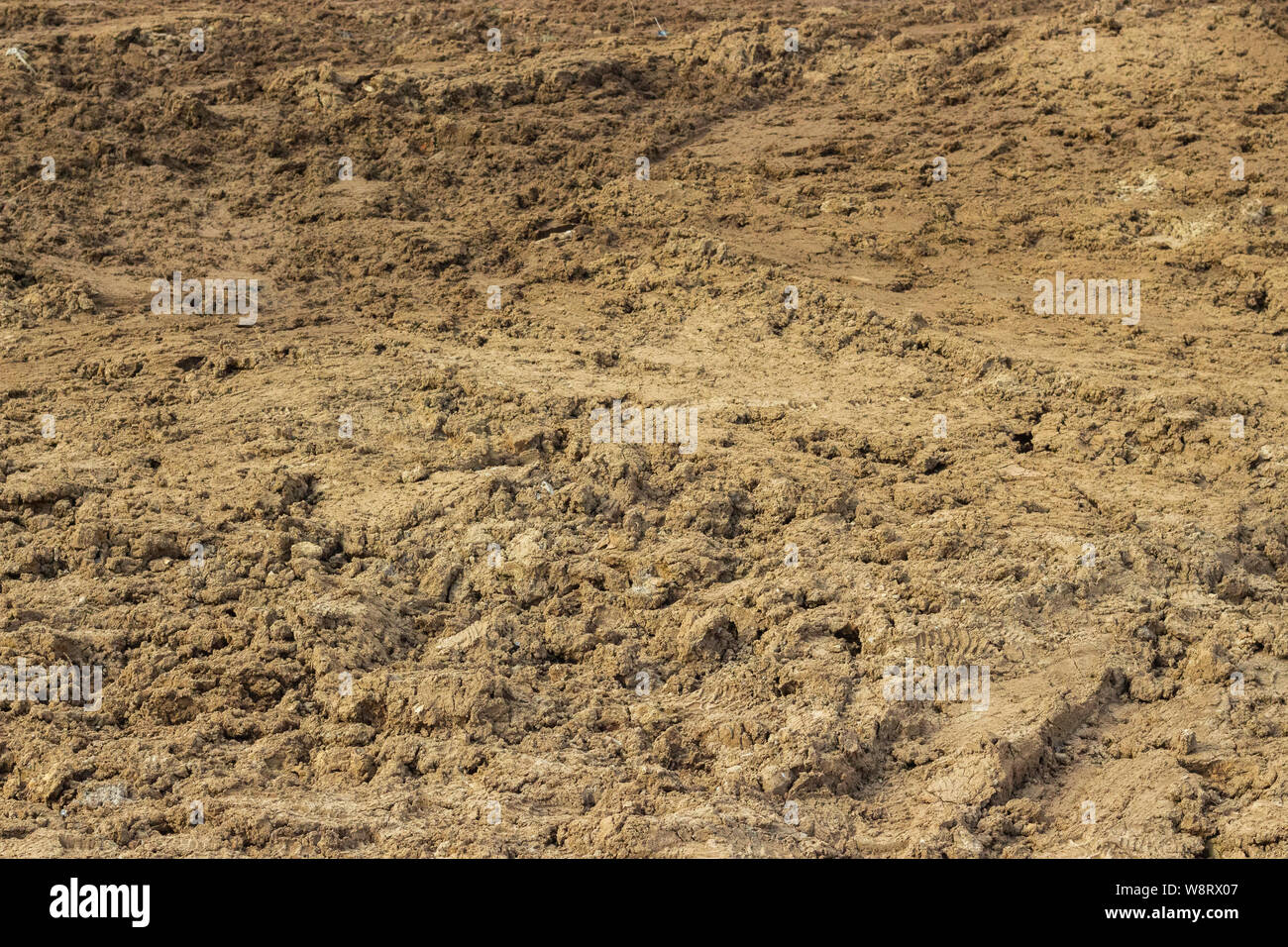 Clay is not fertile soil, background texture. Earth dirt clay soil, a mound of earth with boots Stock Photo