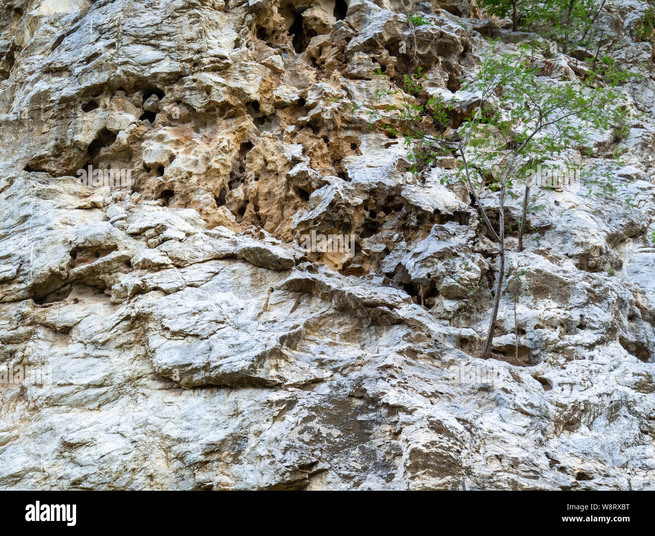 Surface of rocky mountains, Texture background Stock Photo