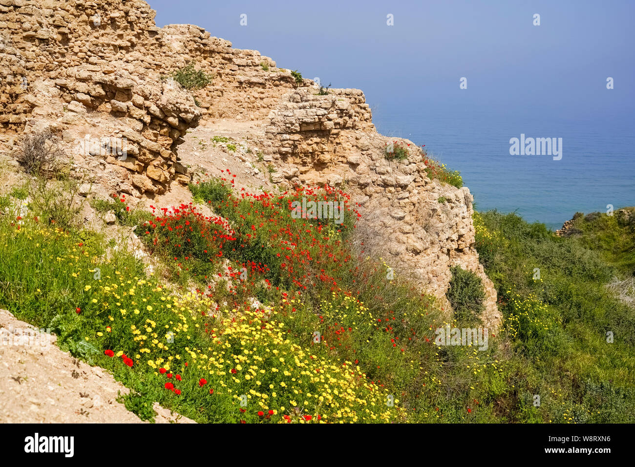 The remains of the old fort of Apolonia, AKA Arsuf, Apollonia is an archaeological park containing the ruins of the Crusade city, fort and port on the Stock Photo