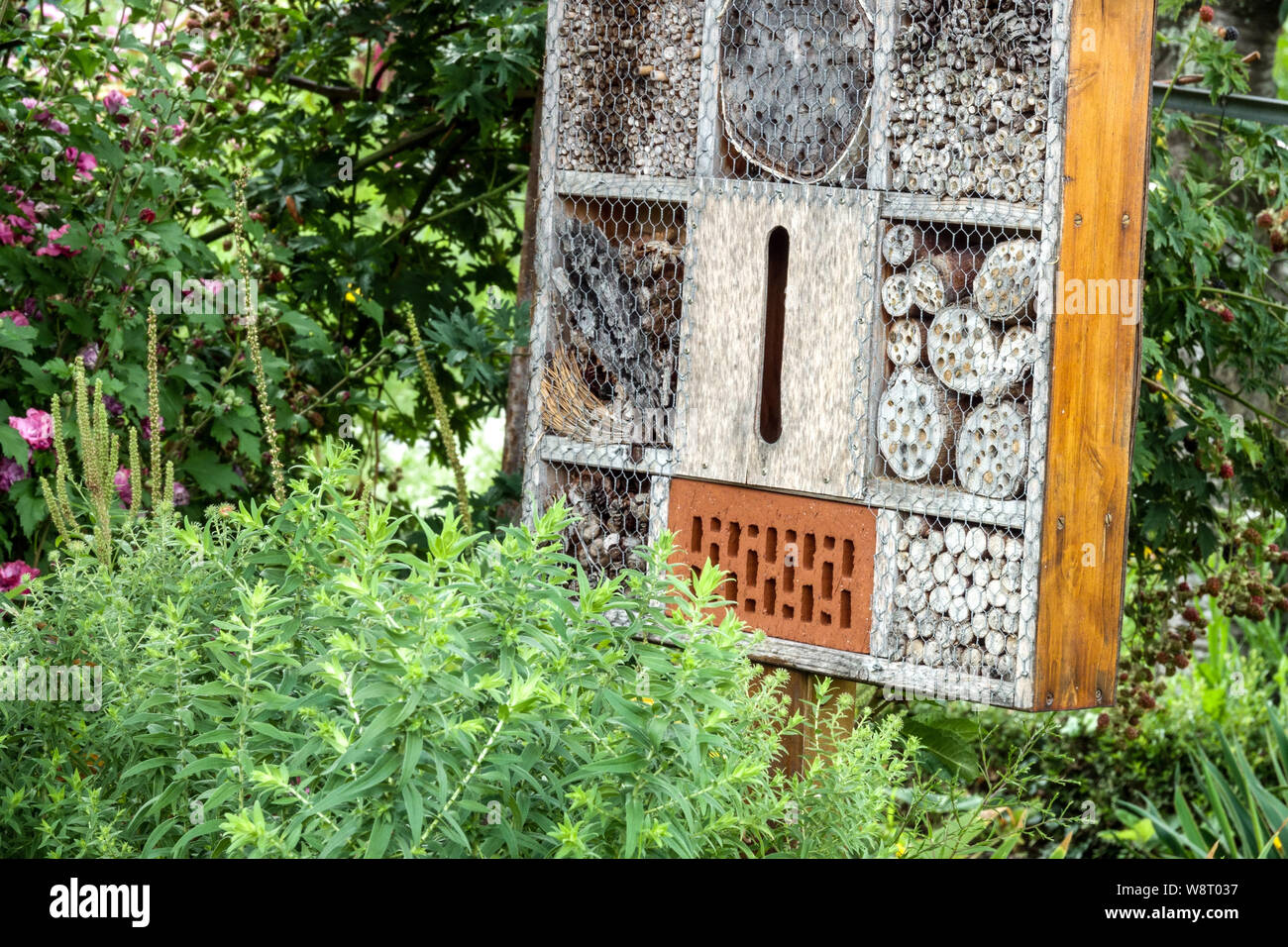 Garden bug hotel, wooden box in the perennial bee-friendly garden Stock Photo