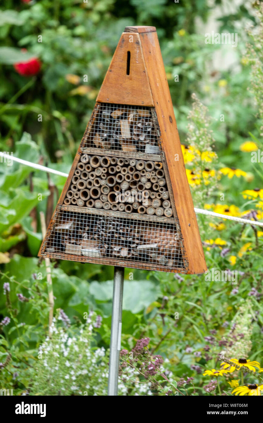 Garden bee hotel with flowers nearby nest wild solitary bees, insects Stock Photo