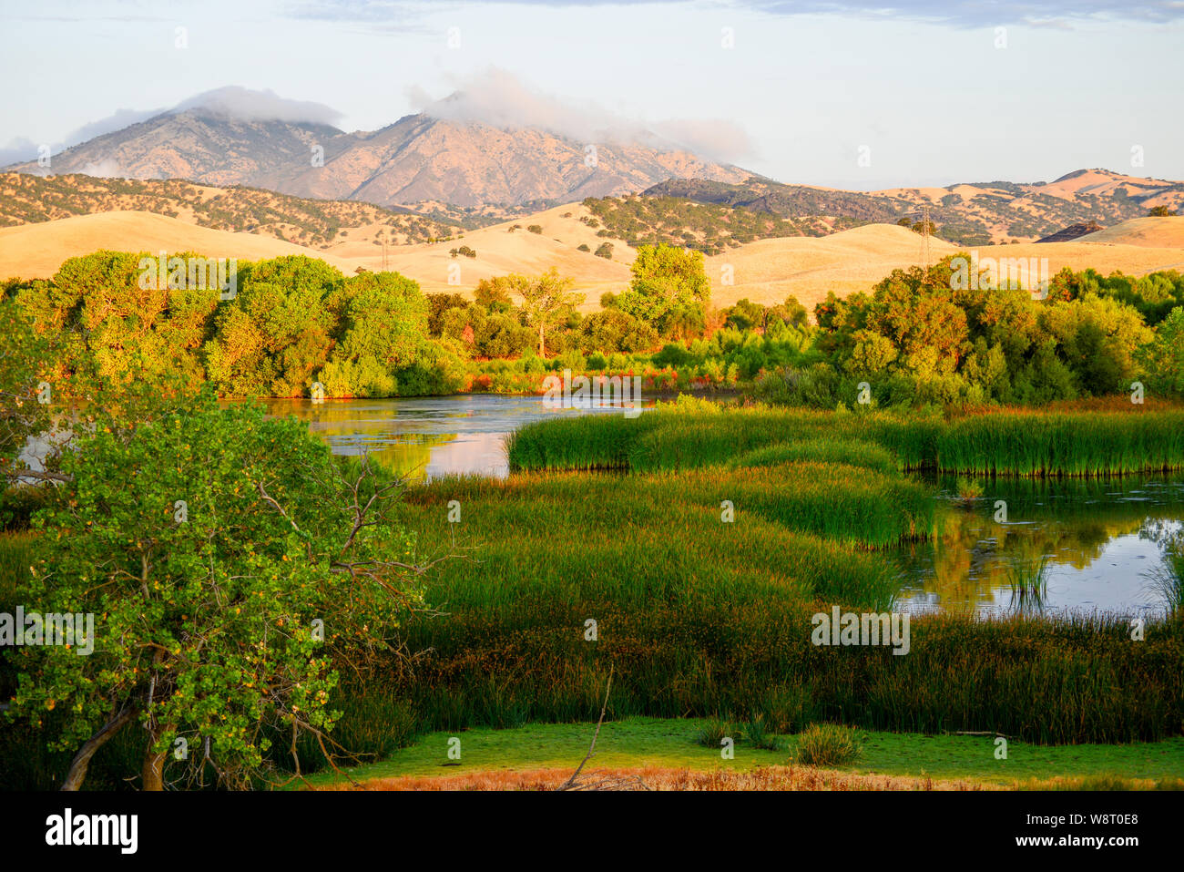 View from Marsh Creek Road overlooking Marsh Creek Reservoir filled with water and vegetation and wispy fog over Mount Diablo in the background. Stock Photo