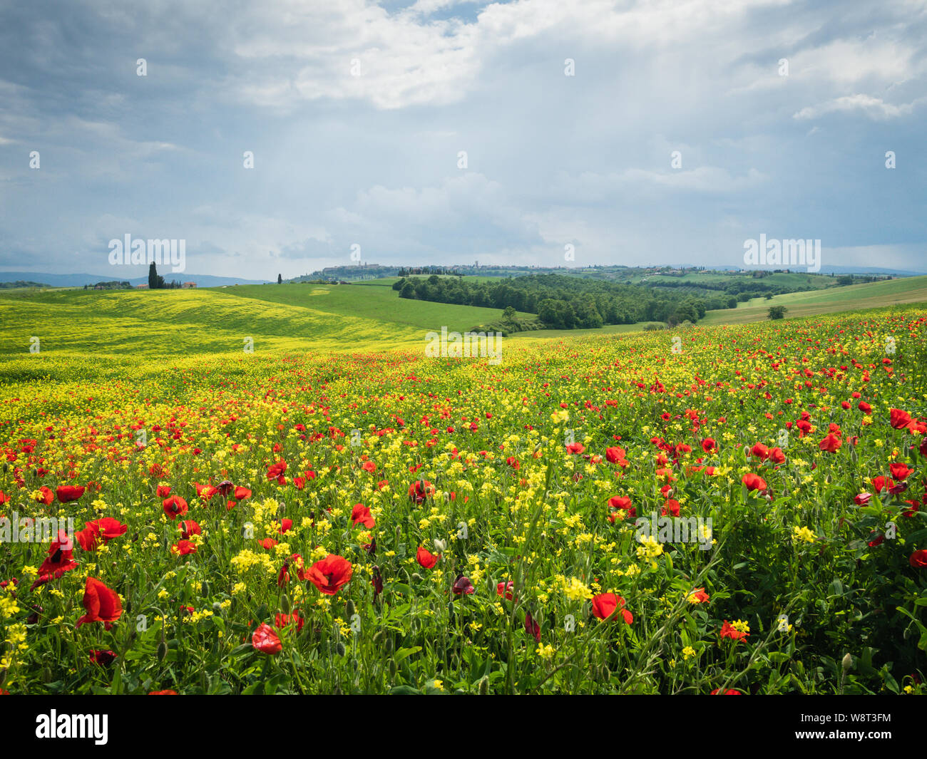 Poppies in countryside san hi-res stock photography and images - Alamy