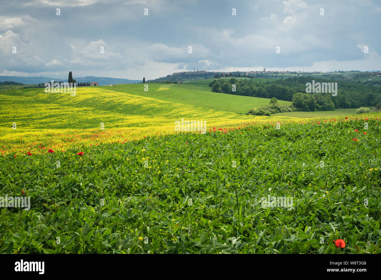 Poppies in countryside san hi-res stock photography and images - Alamy