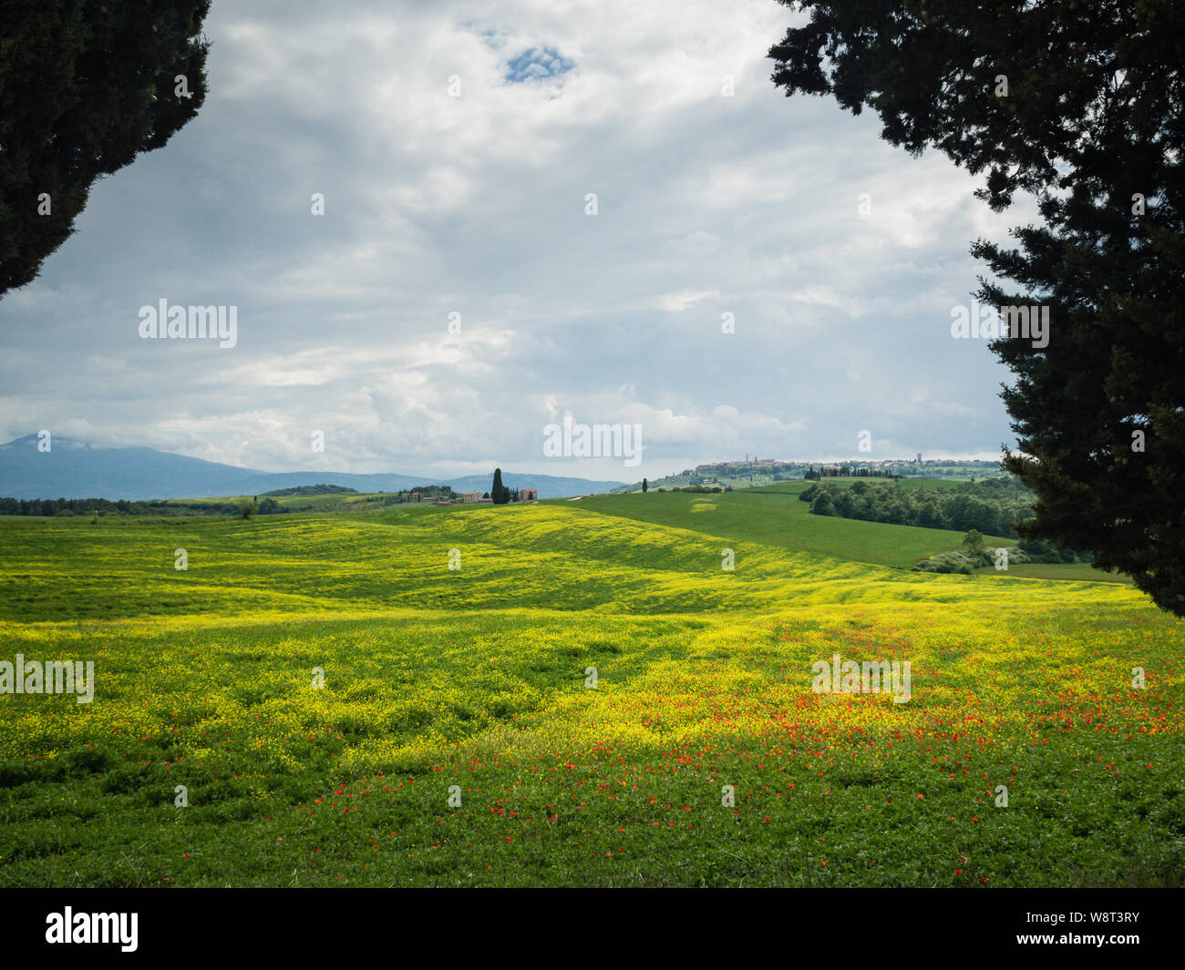 Poppies in countryside san hi-res stock photography and images - Alamy