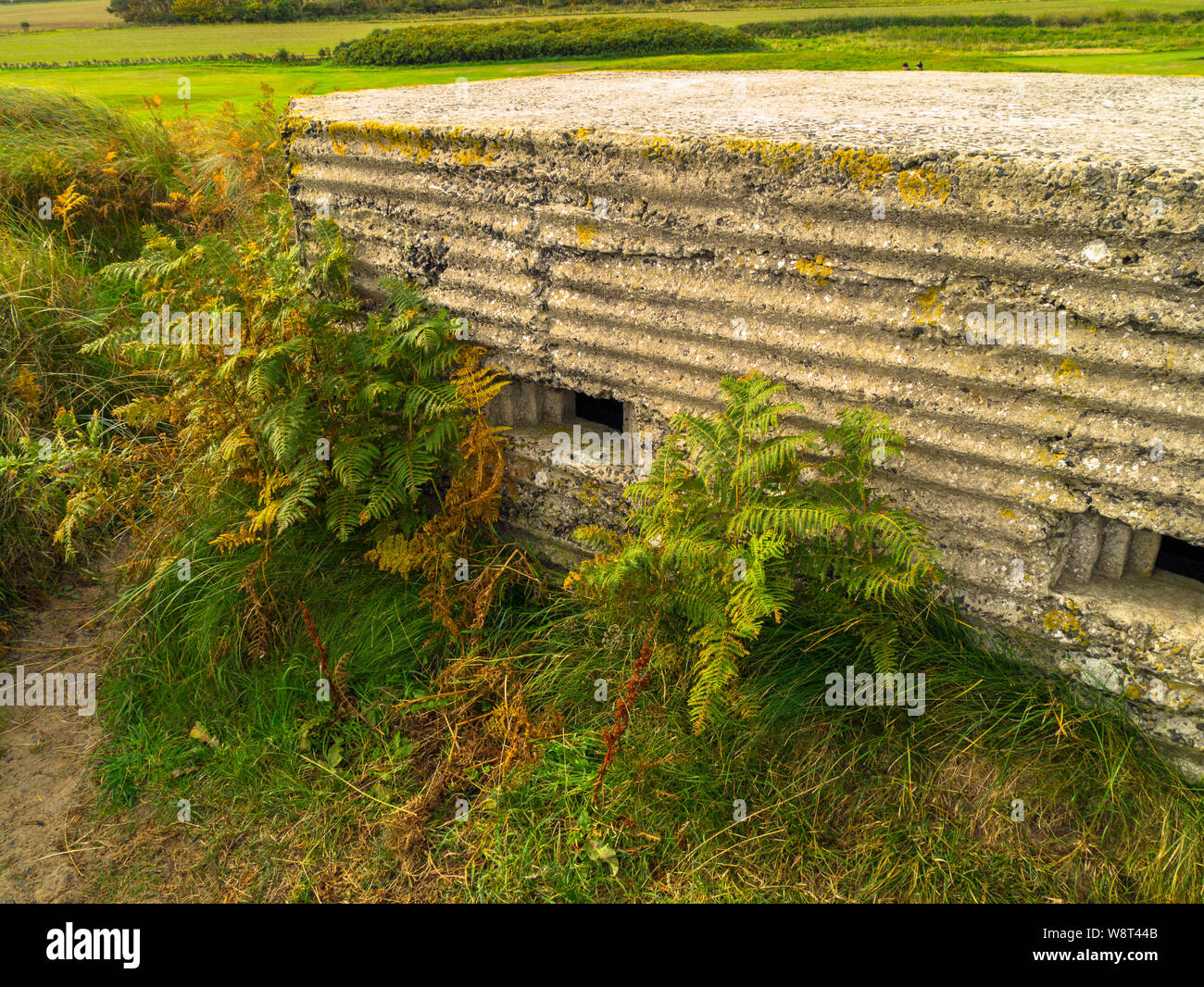 World war two pill box hires stock photography and images Alamy