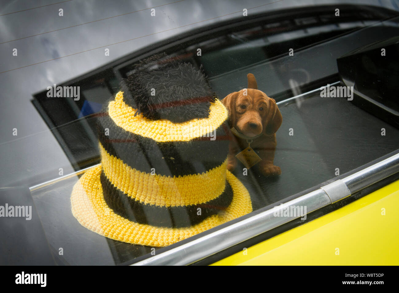 knitted toilet paper hat and nodding dachshund on a rear window shelf of a car, Germany.  gestrickter Klopapierhut und Wackeldackel auf einer Hutabalg Stock Photo