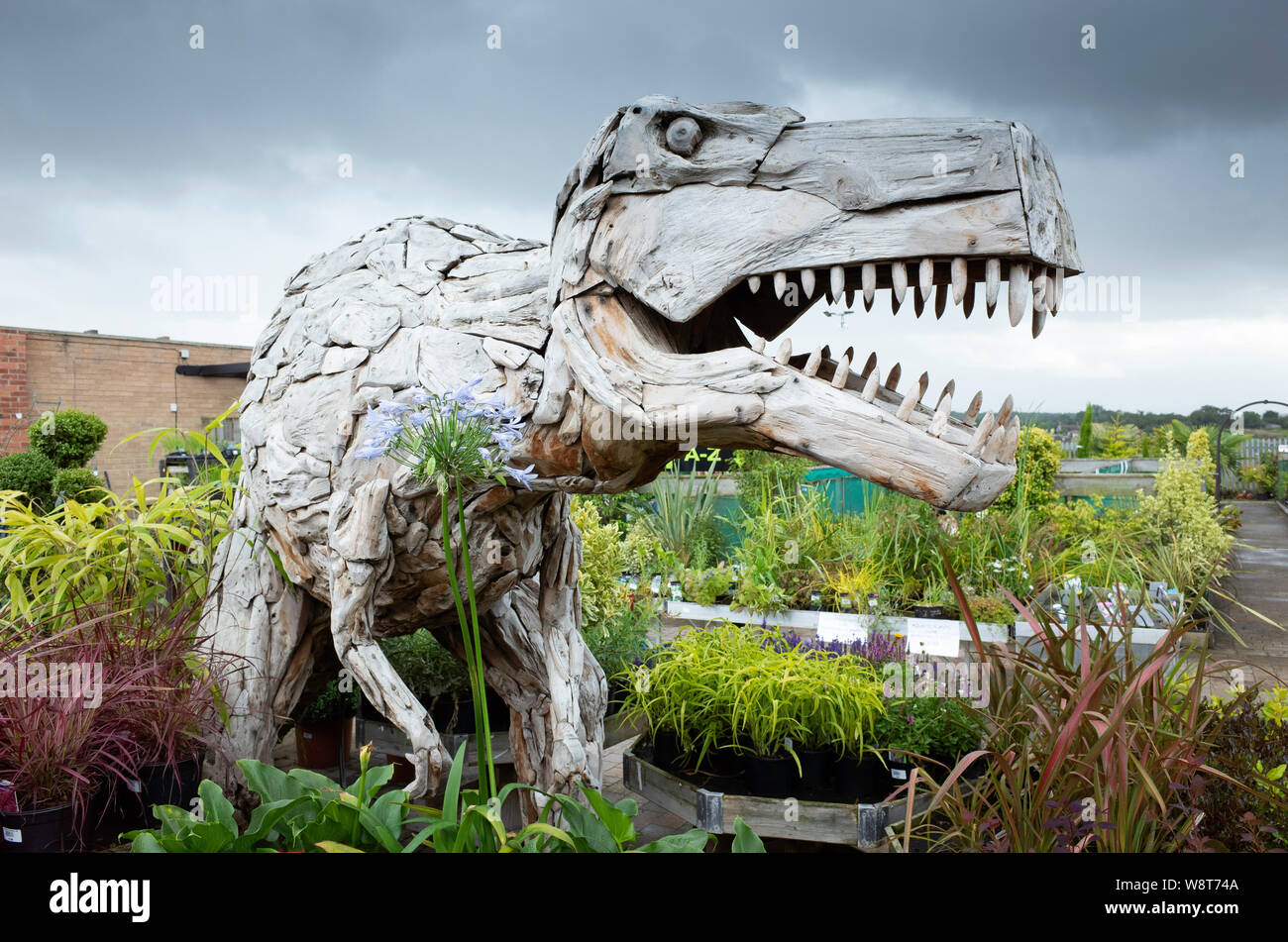 A Large Sculpture Of A Dinosaur Made From Driftwood In A Yorkshire