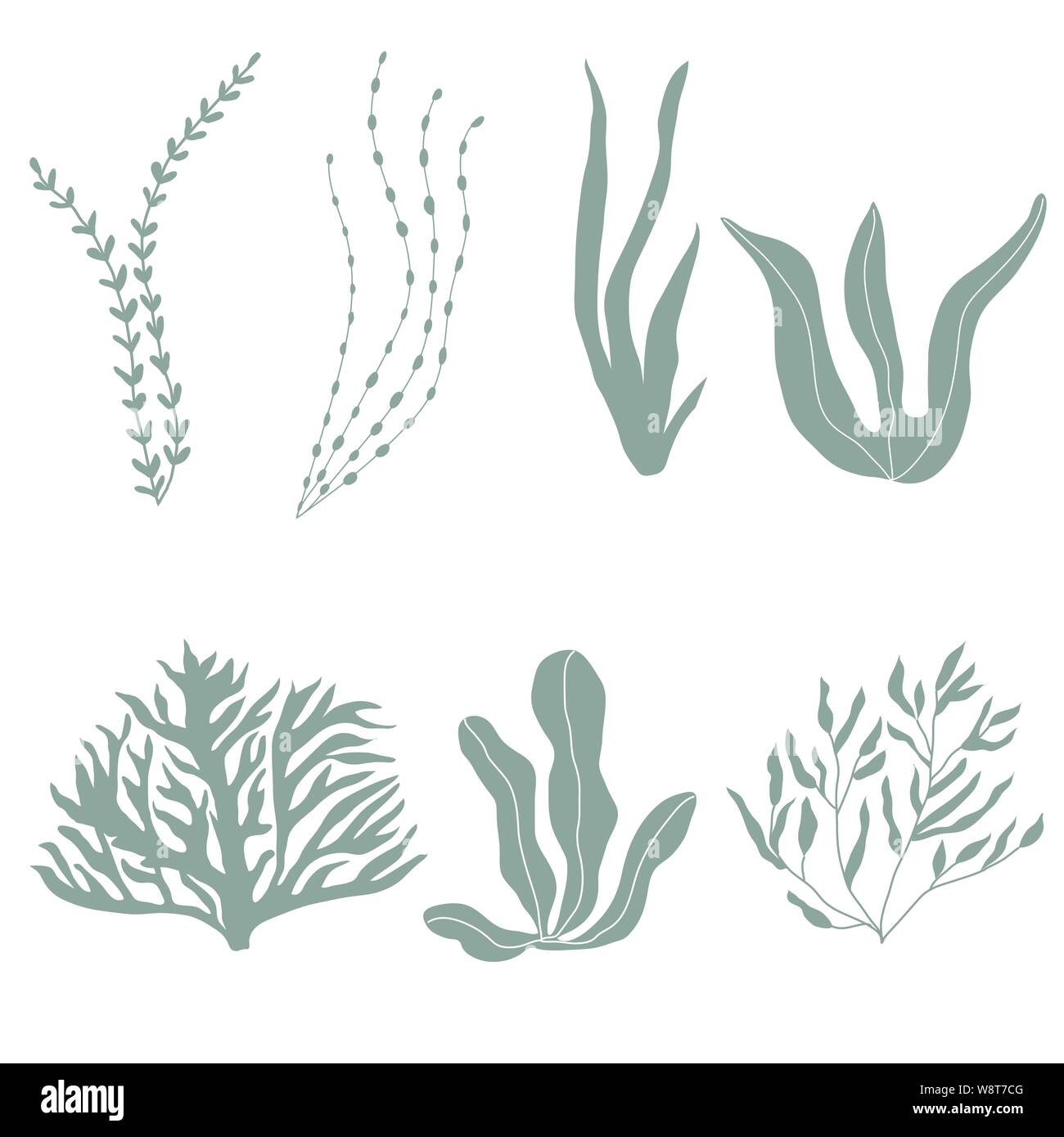 Collection of underwater seaplants and corals, set with marine plants for fabric, textile, wallpaper, nursery decor, prints, childish background. Vect Stock Vector