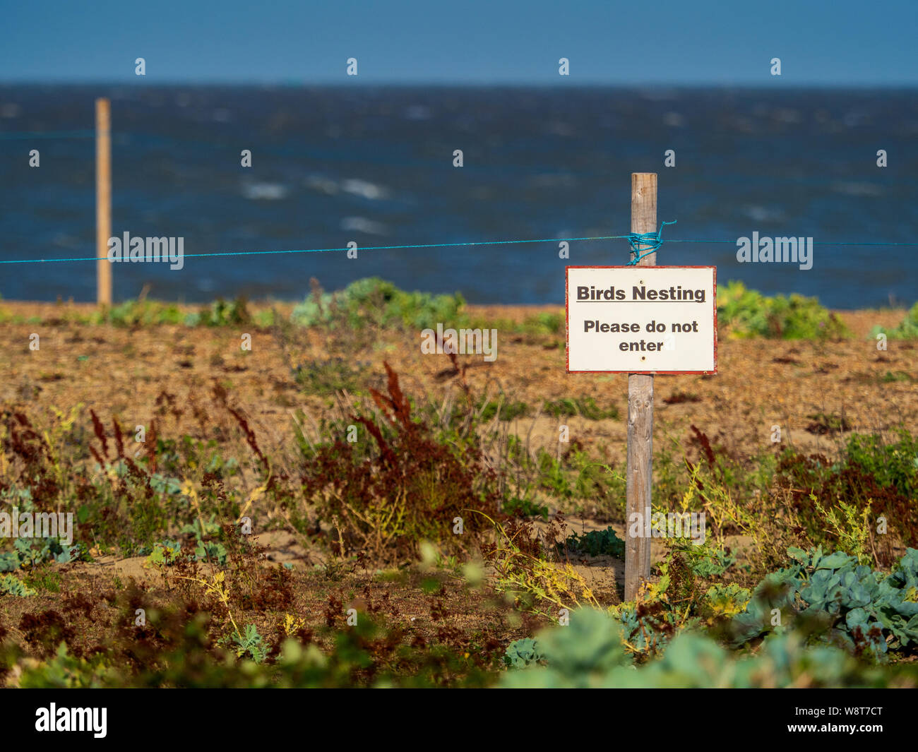 Warning Birds Nesting Please do not Enter sign at a Nature Reserve in Felixstowe Suffolk UK Stock Photo