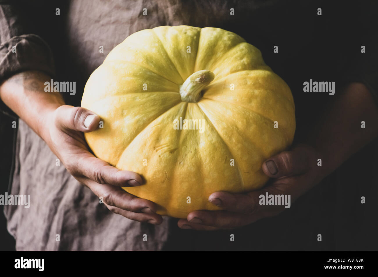 Fresh ripe pumpkin in male rough hands a dark background. Autumn harvest concept. Natural organic food vegetables. Horizontal frame. Tinting Stock Photo