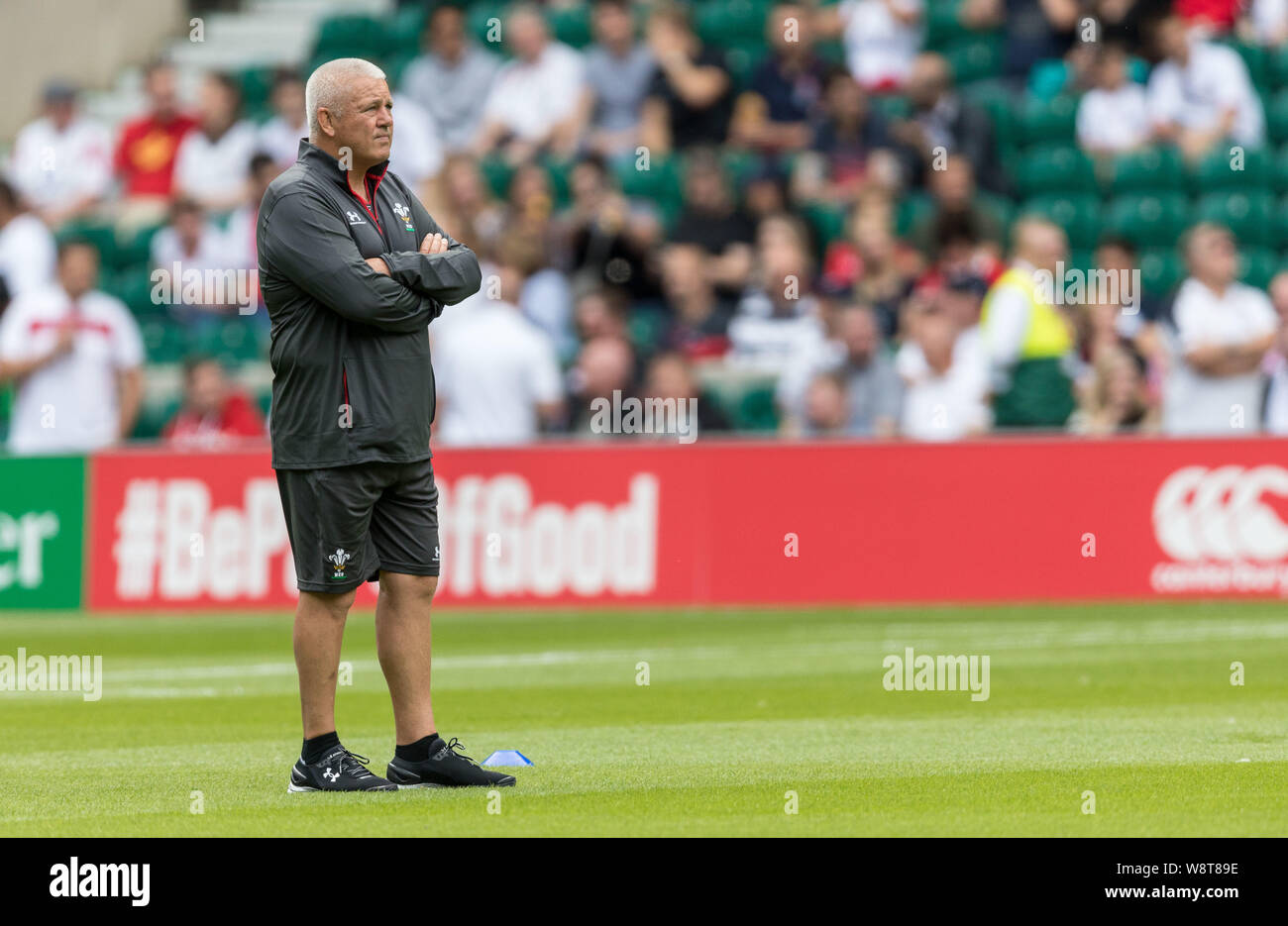 London, UK. 11th August 2019.  England v Wales Rugby Union Quilter Internationals, Twickenham, 2019, 11/08/2019 Wales Head Coach Warren Gatland Credit:Paul Harding/Alamy Live News Stock Photo