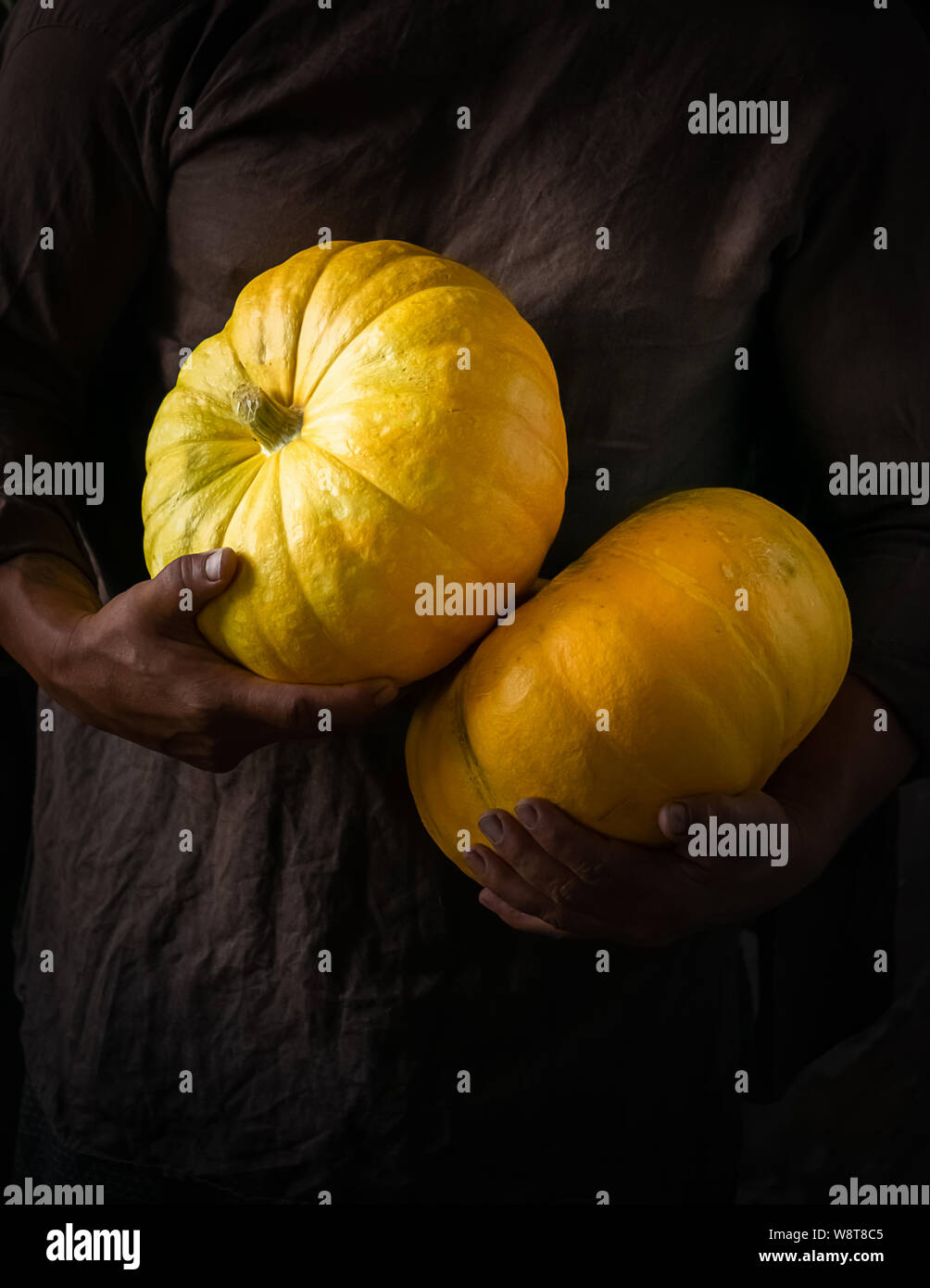Fresh ripe pumpkin in the hands of a man men dark background. Autumn harvest concept. Selective focus. Vertical frame. Stock Photo