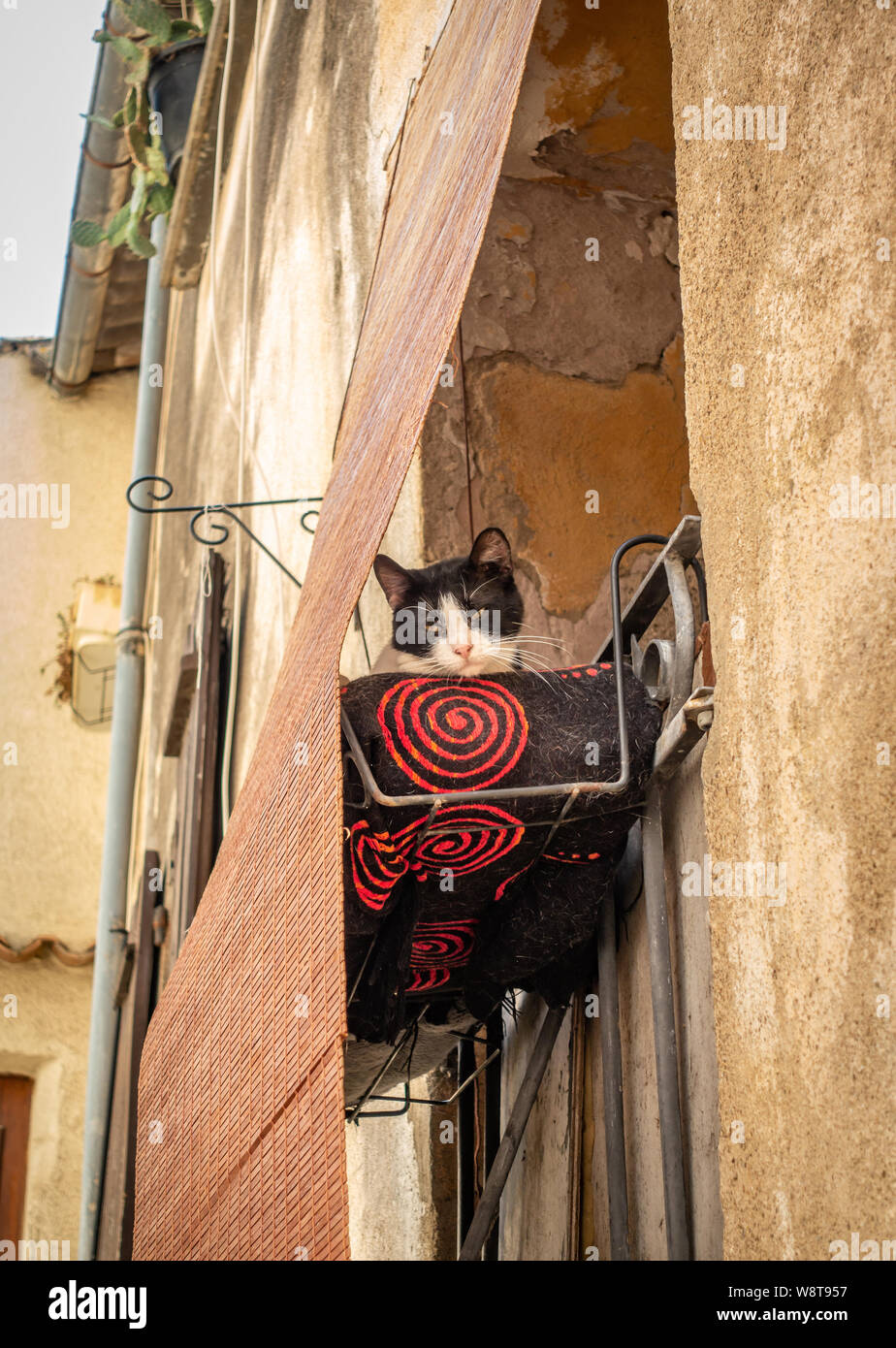 Sleepy cat on a shaded house balcony in French village Stock Photo