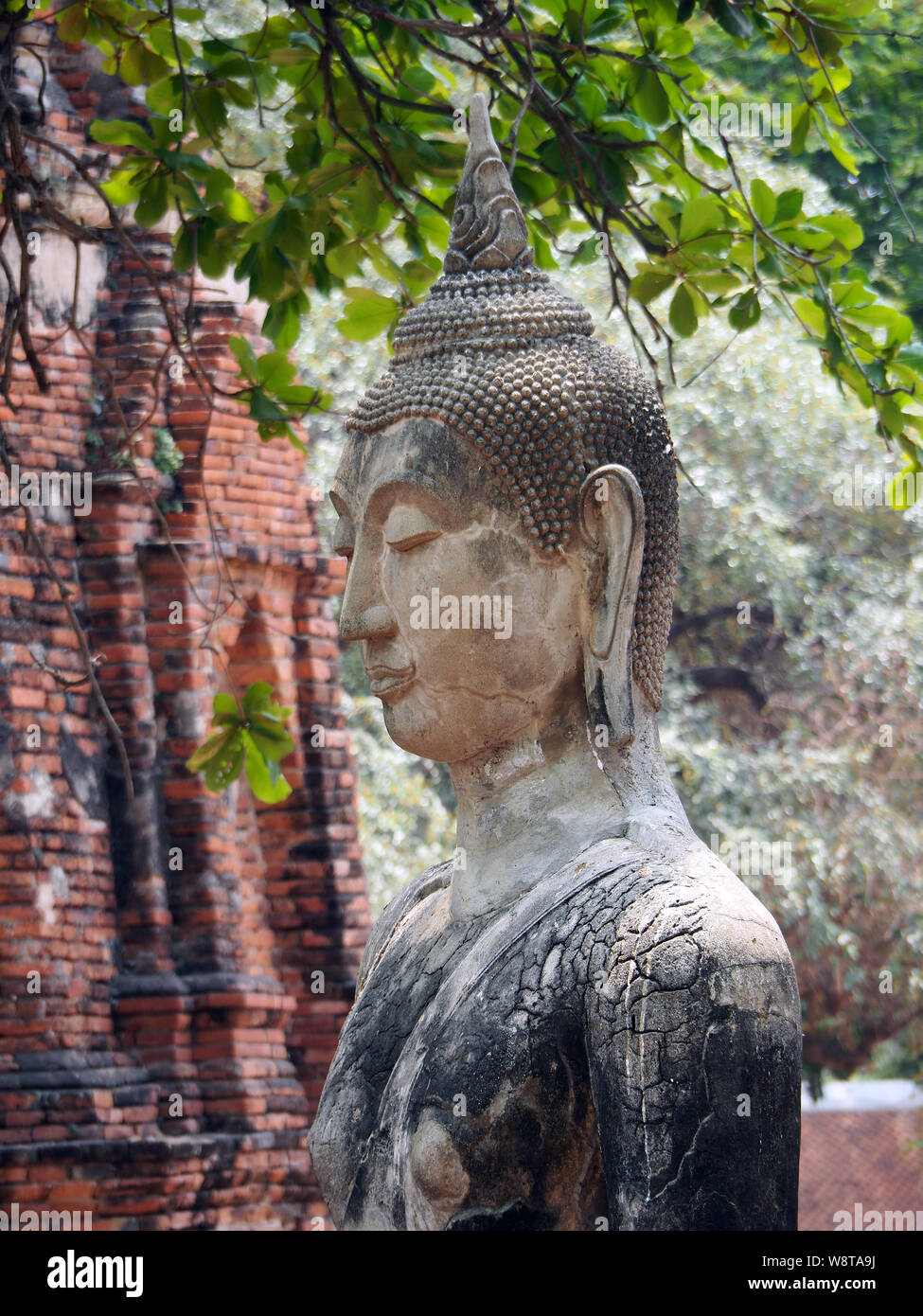 Wat Mahathat, Ayutthaya, Thailand, Asia Stock Photo Alamy