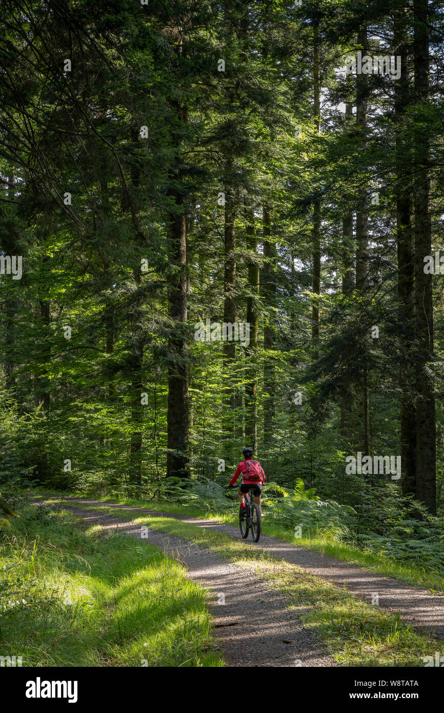 nice and ever young senior woman with her electric mountain bike at the Kinzig drinking Water reservoir in the northern Black Forest, Baden-Wuerttembe Stock Photo