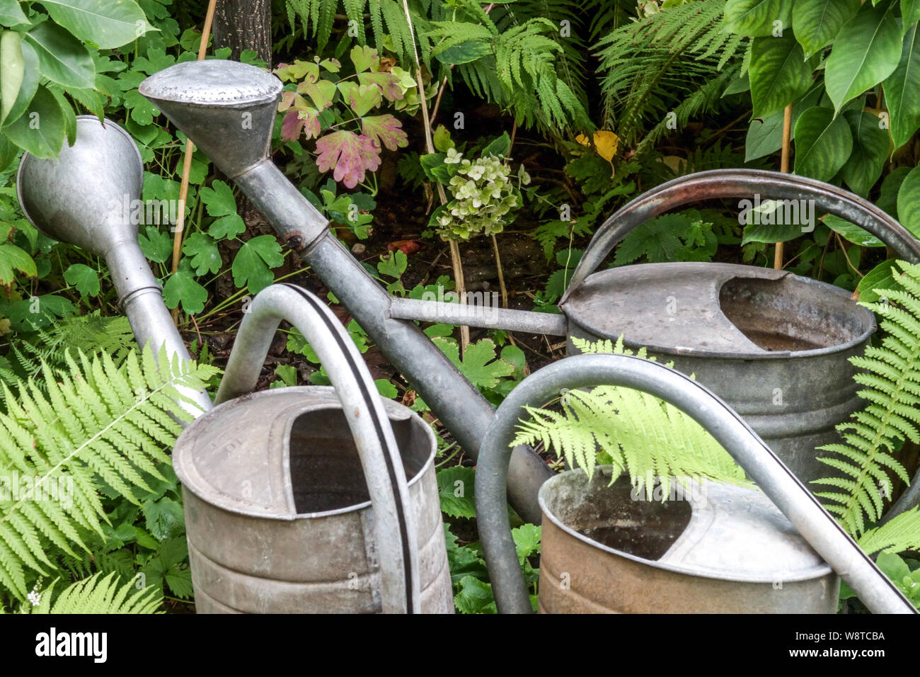 Three metal watering cans for hand watering plants in the garden Stock