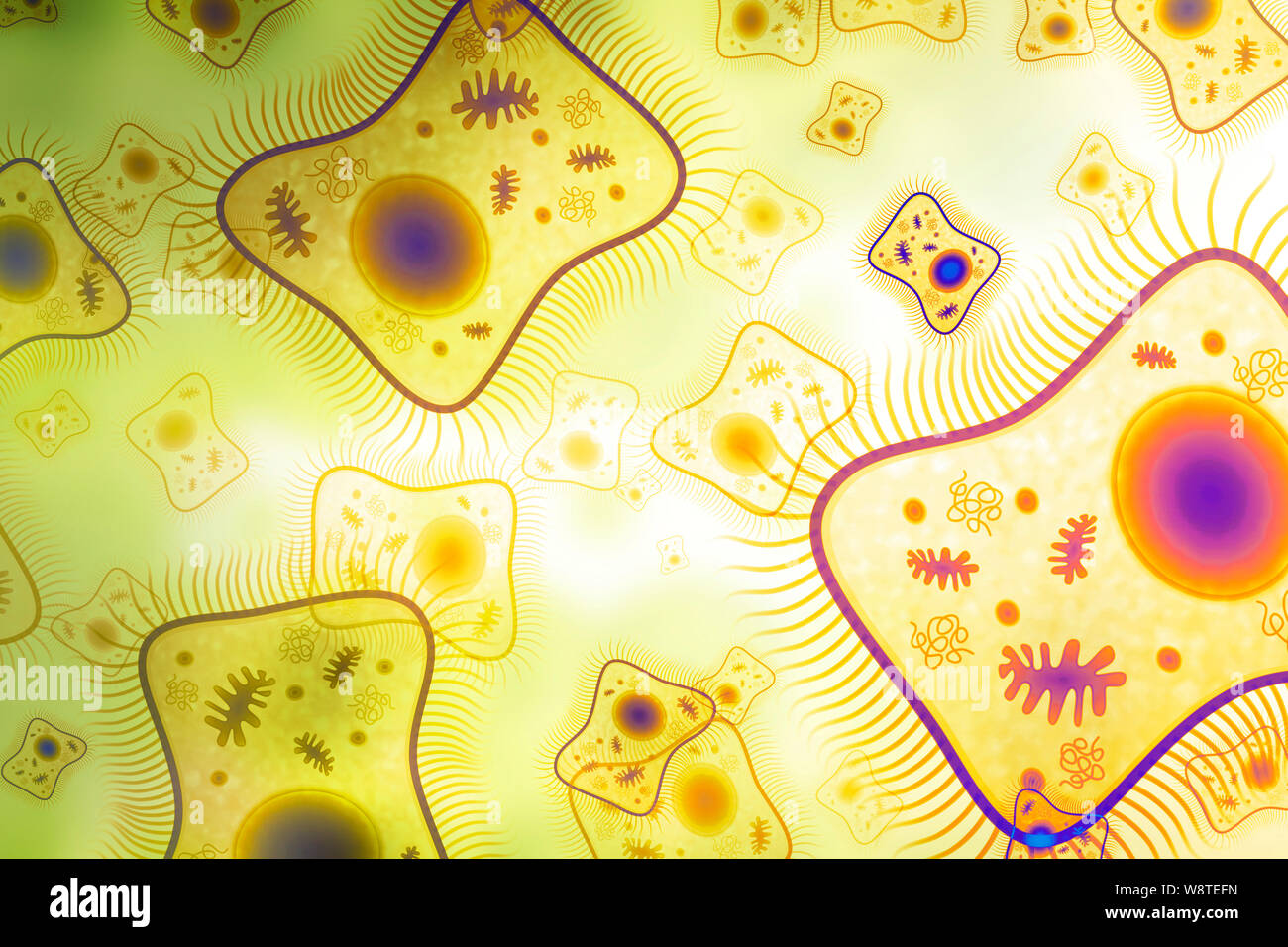 Biofilms High Resolution Stock Photography and Images