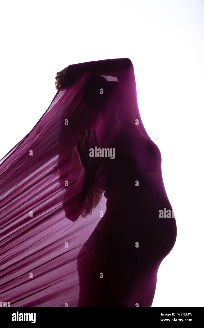 Studio shots of pregnant woman in purple fabric. Stock Photo